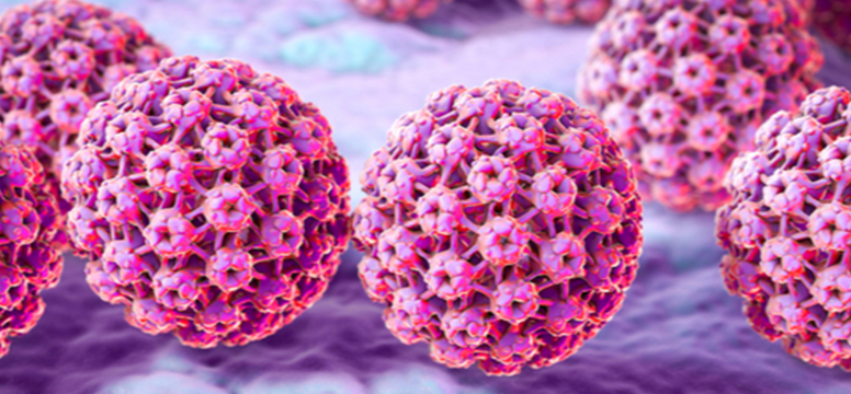 HPV-HR Plus virus image
