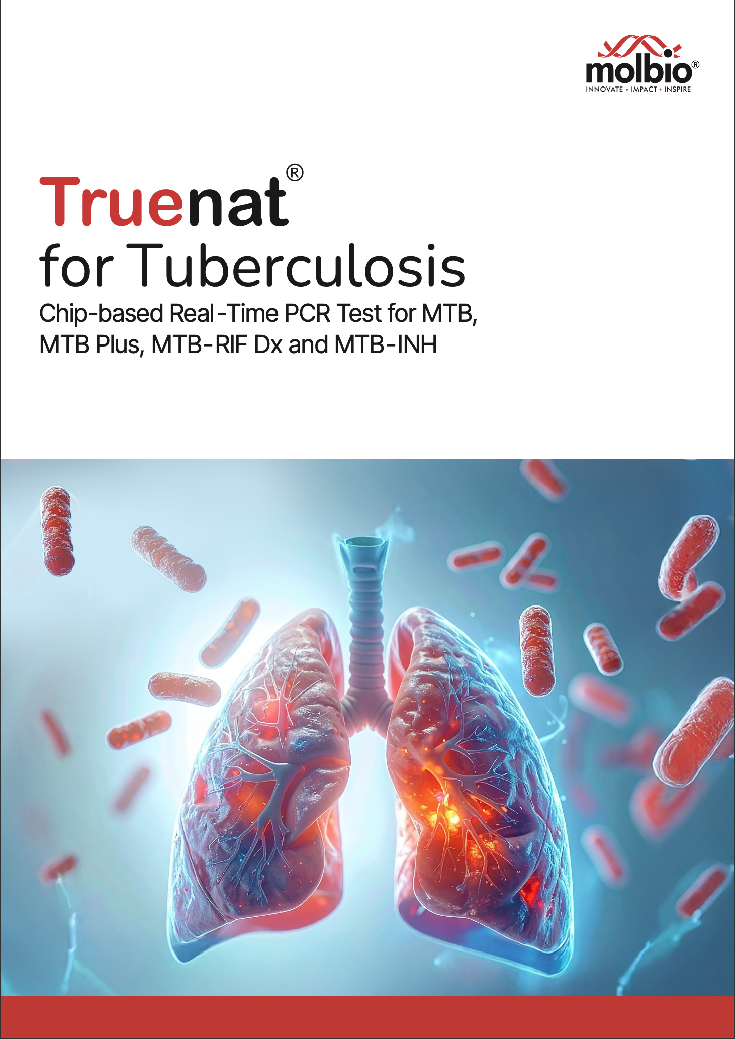 Post Featured Banner Image