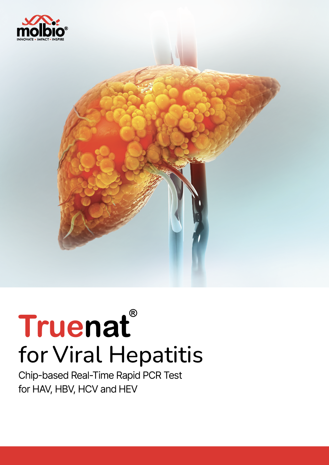 Post Featured Banner Image