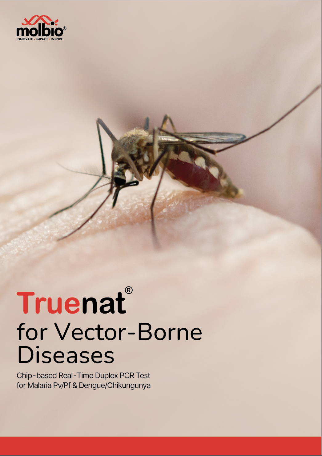 Post Featured Banner Image