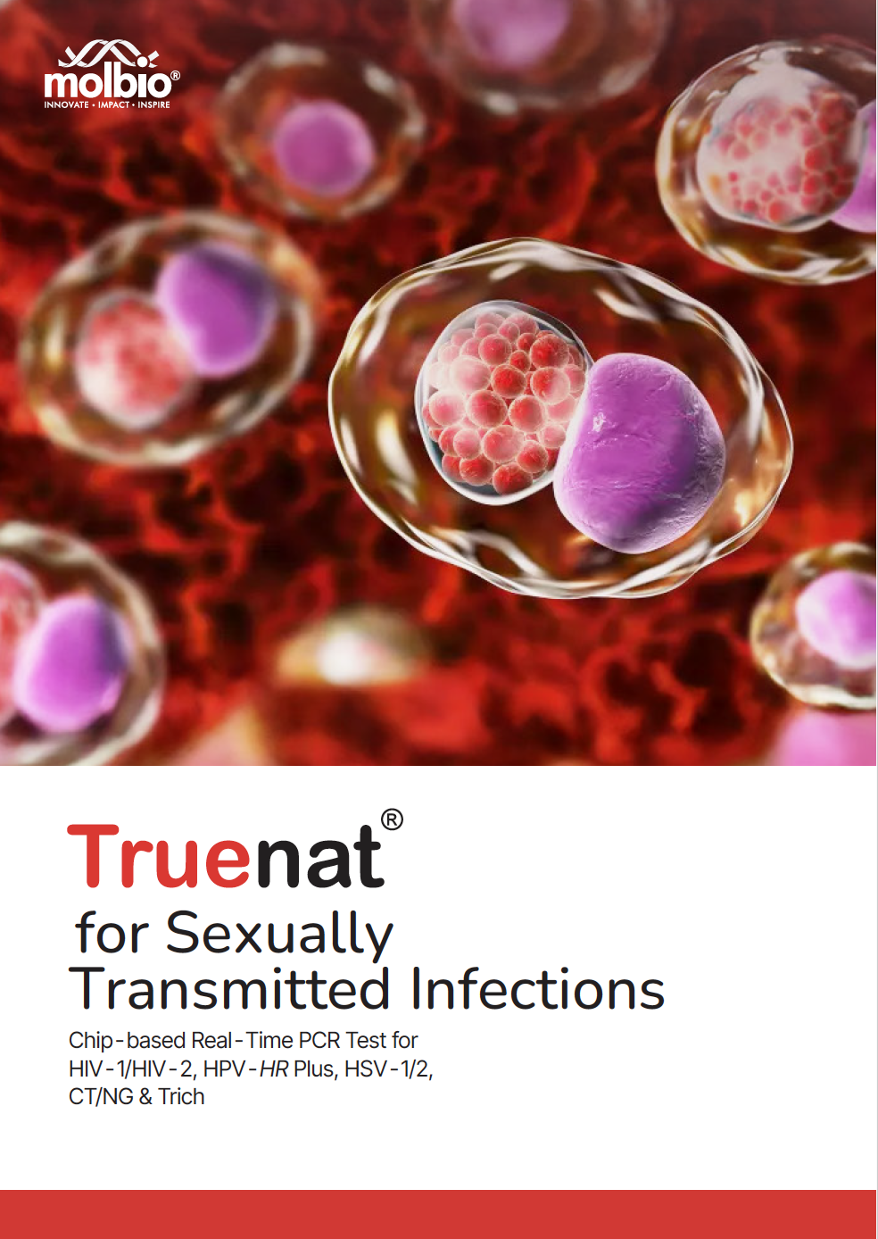 Post Featured Banner Image