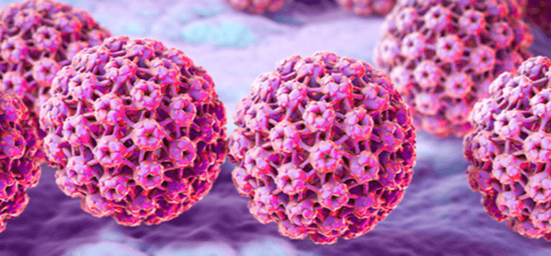 HPV-HR-Plus-virus-image